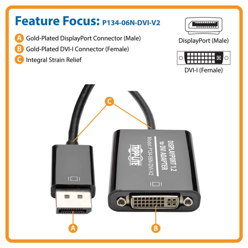 P134-06N-DVI-V2